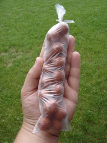 PVA sáček 65x220  20ks